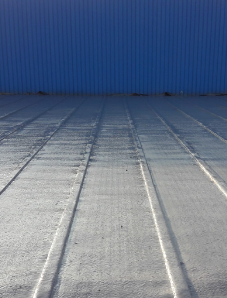 Visitable Roof System Nexacoatings